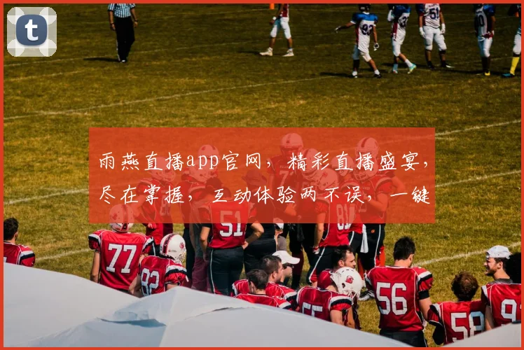 雨燕直播app官网，精彩直播盛宴，尽在掌握，互动体验两不误，一键直达