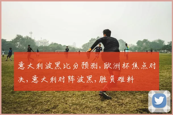 意大利波黑比分预测,欧洲杯焦点对决,意大利对阵波黑,胜负难料