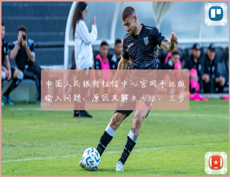 中国人民银行征信中心官网手机版输入问题，原因及解决方法，三步轻松解决，必看