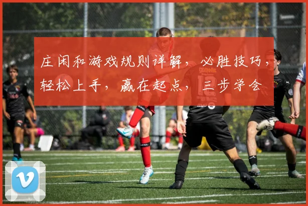 庄闲和游戏规则详解，必胜技巧，轻松上手，赢在起点，三步学会